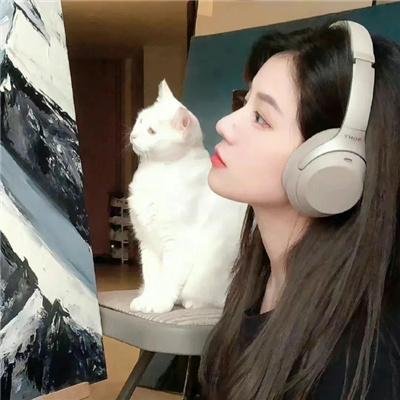 缄默的迷宫